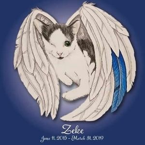 Meet your Posher, Bibi